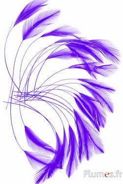 Hahn - 10-15 cm - violett